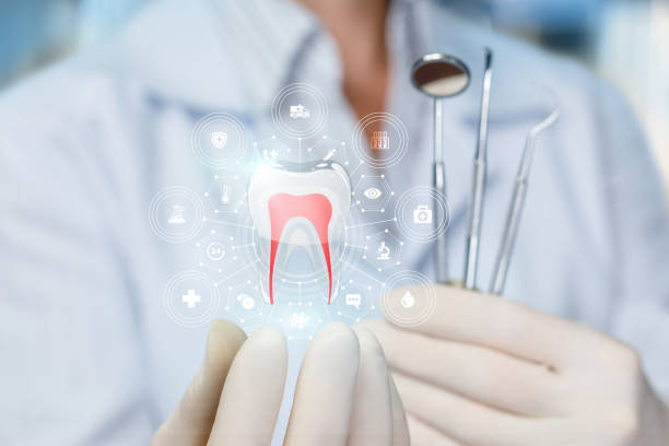 Professional Dental Services in Craig Beach, OH